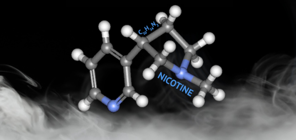 facts about nicotine