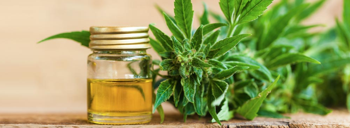 The 15 Health Benefits of CBD Oil You Should be Aware of