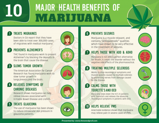 10 Major Health Benefits of Marijuana – Ecigopedia